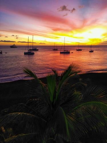 Coucher de soleil sur les voiliers au mouillage